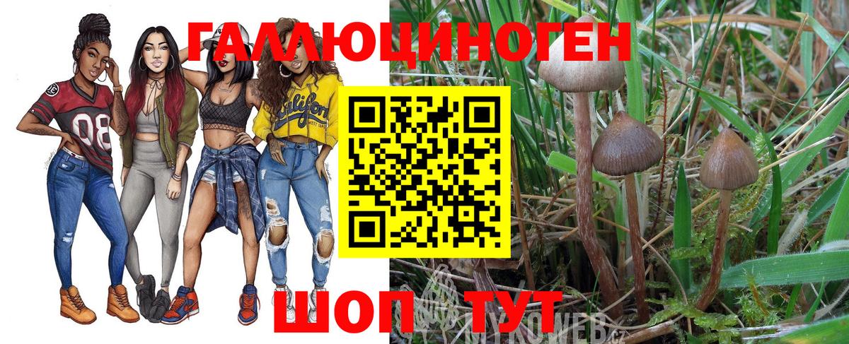 Галлюциногенные грибы мицелий Дубна
