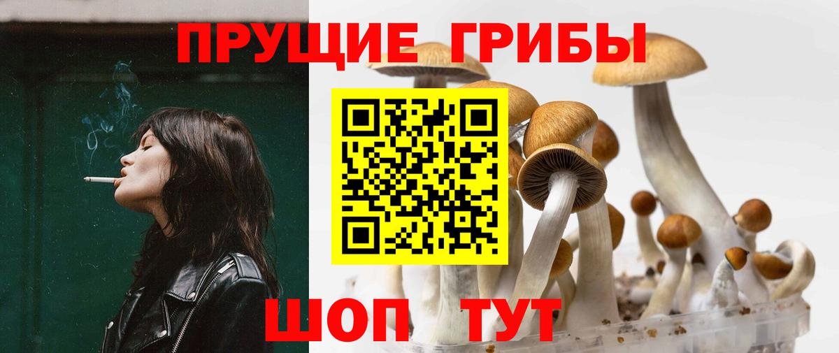 Псилоцибиновые грибы GOLDEN TEACHER  Псилоцибиновые грибы Magic Shrooms  Вход с VPN  Дубна 
