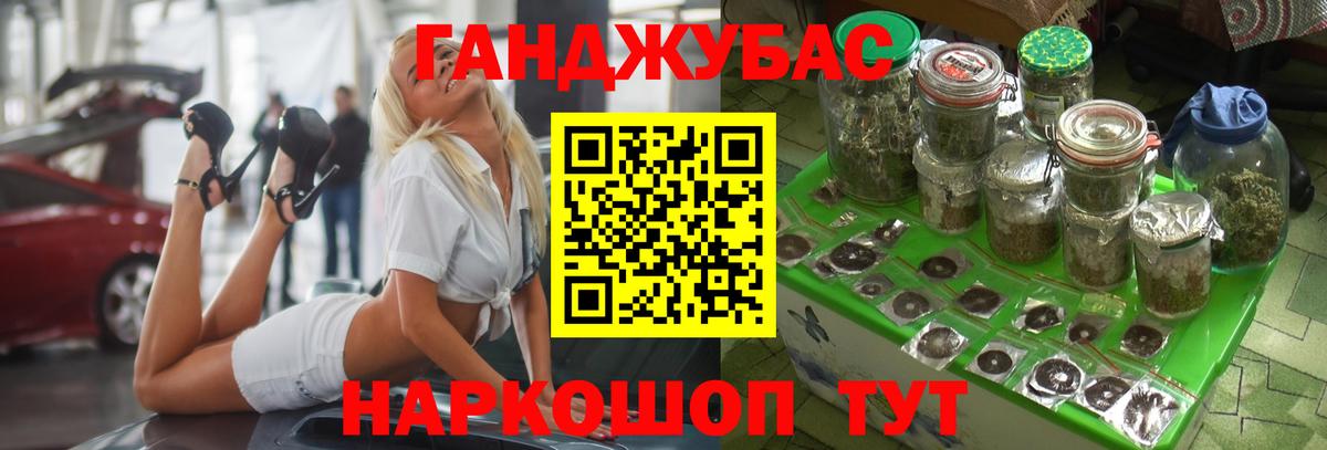 Бошки Шишки план Дубна